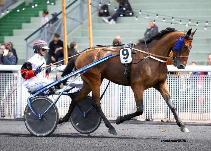 Duel Du Trio Gagnant