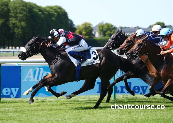 Gagnant Turf Vip