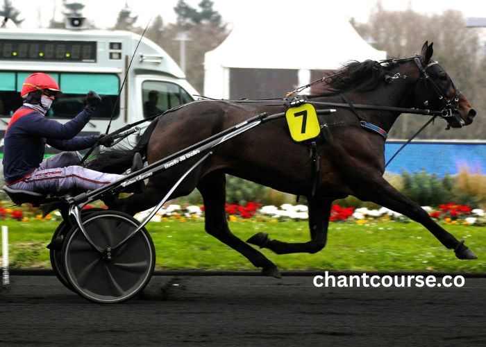 Gain Pmu Du Jour