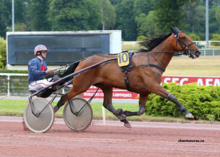 Joli Turf Gagnant