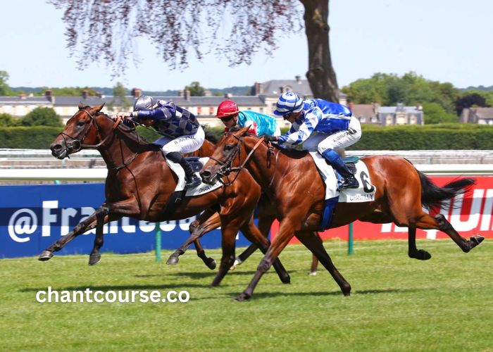 Societe Turf Trio