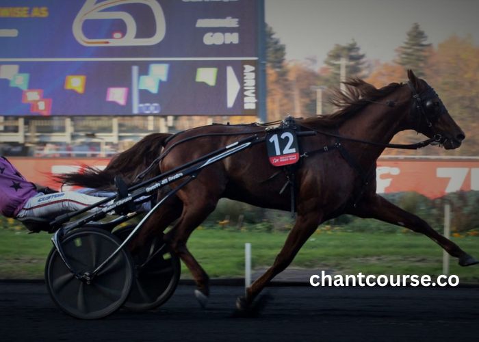 Turf DE France